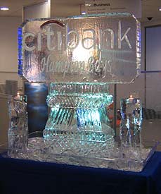 Citibank Logo created by Ice Miracles Long Island, New York, LI, NY