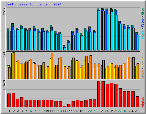 Daily usage for January 2024