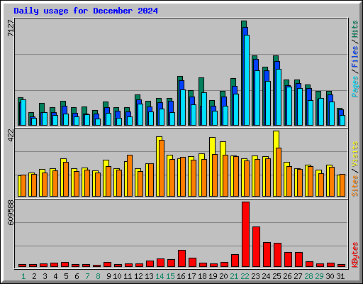 Daily usage for December 2024
