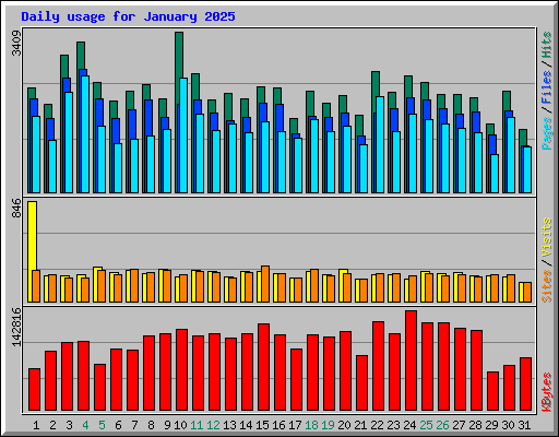 Daily usage for January 2025