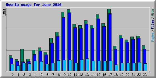 Hourly usage for June 2016