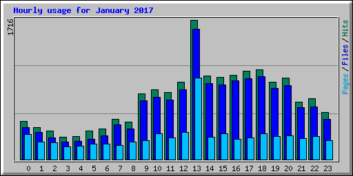 Hourly usage for January 2017
