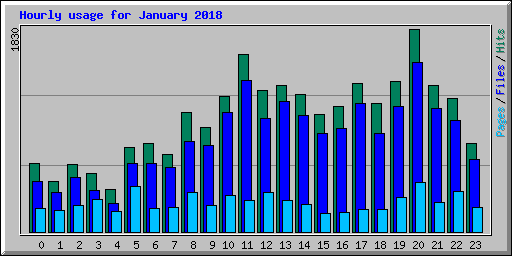 Hourly usage for January 2018