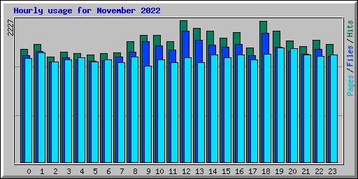Hourly usage for November 2022