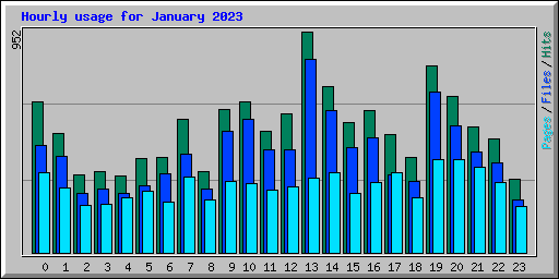 Hourly usage for January 2023