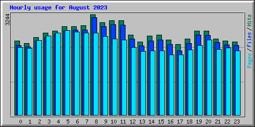 Hourly usage for August 2023