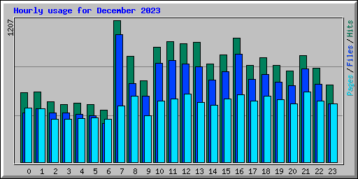 Hourly usage for December 2023