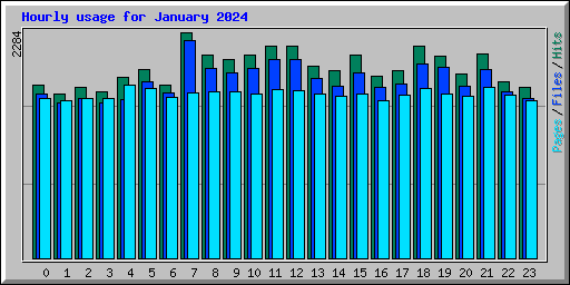 Hourly usage for January 2024
