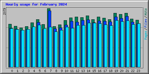 Hourly usage for February 2024