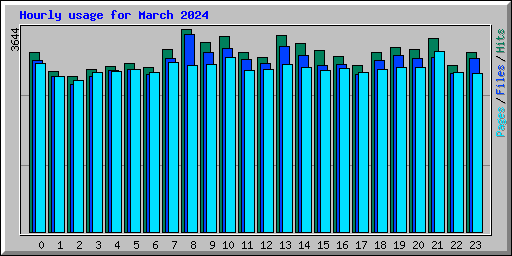 Hourly usage for March 2024