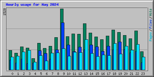 Hourly usage for May 2024