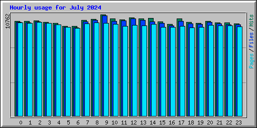 Hourly usage for July 2024