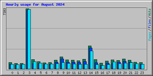 Hourly usage for August 2024