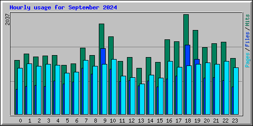 Hourly usage for September 2024