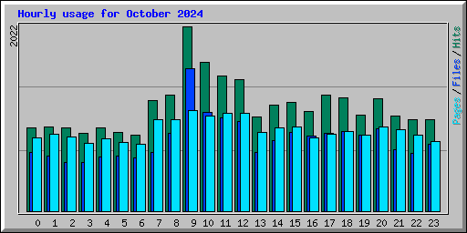 Hourly usage for October 2024