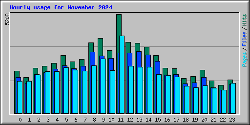 Hourly usage for November 2024