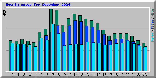 Hourly usage for December 2024