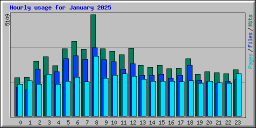 Hourly usage for January 2025