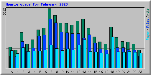 Hourly usage for February 2025