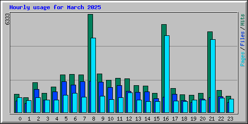Hourly usage for March 2025