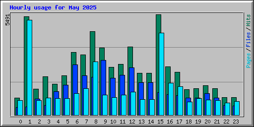 Hourly usage for May 2025