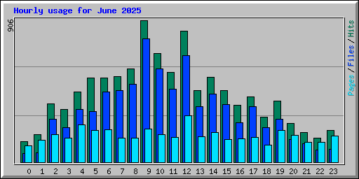 Hourly usage for June 2025