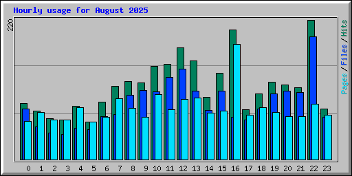 Hourly usage for August 2025