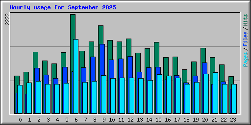 Hourly usage for September 2025