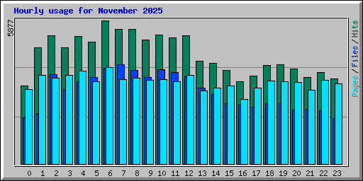 Hourly usage for November 2025