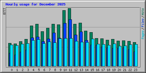 Hourly usage for December 2025