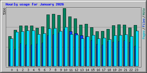 Hourly usage for January 2026