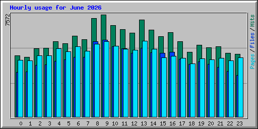 Hourly usage for June 2026