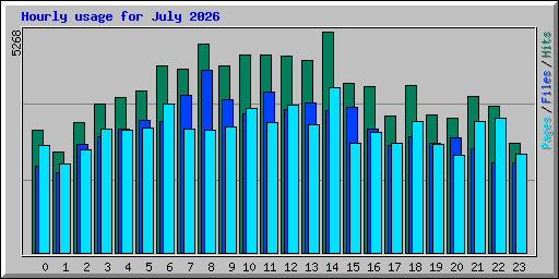 Hourly usage for July 2026