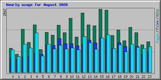 Hourly usage for August 2026